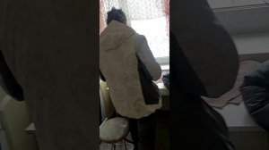 ОБДОЛБАННЫЕ КУРИЦЫ!!!))))