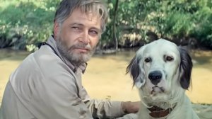 Буктрейлер по книге Г.Троепольского "Белый Бим Чёрное ухо"