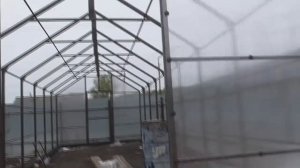 Теплица УРАЛЬСКАЯ ЛЕГЕНДА. Часть 3. Какие плюсы я увидела.