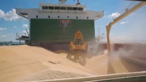 8. Экстренно! Швеция захватила российский сухогруз Caffa в Балтийском море!