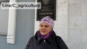 Сибирь, усыпили 300 голов в отсутствие хозяина