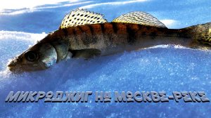 Микроджиг на нижней Москве-реке. Рыбалка удалась, природа оживает.