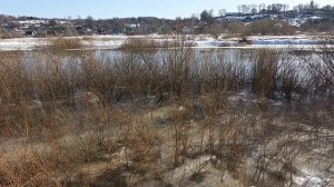 Половодье 16 марта 2026 года.