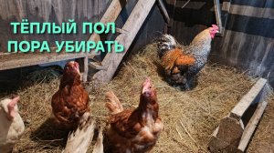 Когда можно чистить курятник после зимы Убираю теплый пол