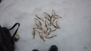 Глухозимье 2026. Рыбалка на Нежинских карьерах.