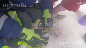 Уфимские спасатели помогли псу, который засунул лапу в карабин