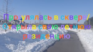 Прогулялась в сквере/ Открыла свою летнюю резиденцию