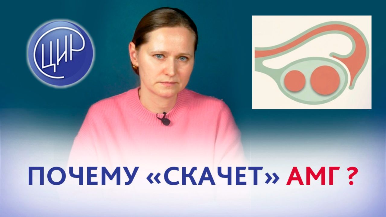 Антимюллеров гормон (АМГ). Почему колеблется уровень АМГ?