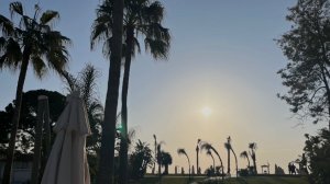 Как делать правильные выборы в жизни, чтобы о них потом не жалеть