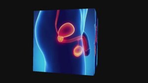 Делай это дома чтобы поднять тестостерон. 5 минут в день для мужского здоровья