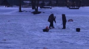 поимка форели