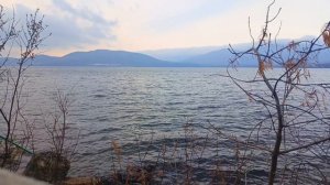 Вид тот же трек другой ФМ Клубная музыка КАЧЕСТВЕННАЯ