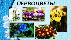 16 МАРТА.ДЕНЬ ПЕРВОЦВЕТОВ.БЕРЕГИТЕ ПЕРВОЦВЕТЫ!