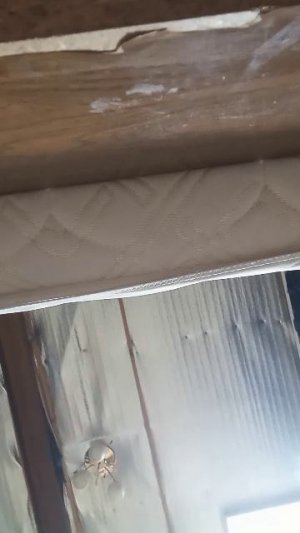 я разговариваю с подписчиками и хорошая новость