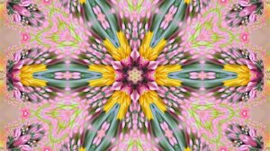 Весна! Очаровательные тюльпаны 7! Киностудия Мудрого Кота Тимофея!