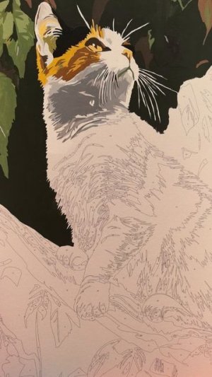 понедельник день тяжёлый 🙄🙄🙄 #shorts
#раскраска #пономерам