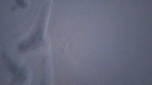 Рубрика "Прогулка"экскурсия