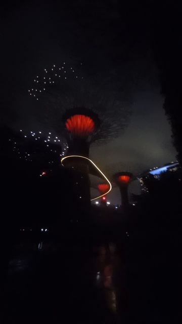 Сингапур. Шоу супердеревьев