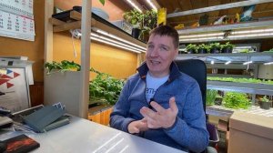 Микрозелень как бизнес