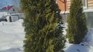 Бесплатная горячая вода весь сизон на даче от солнышка своими руками