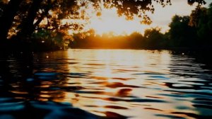 Этот взгляд постоянно волнует.