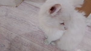 Разоблачение часть 1