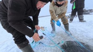 Проверяем чужую сеть с Данилом на озере.