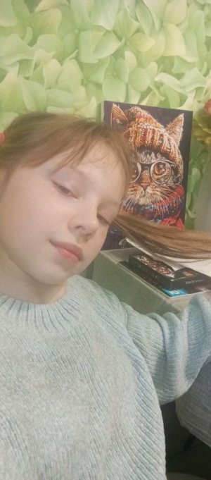 у меня оборвалась трансляция