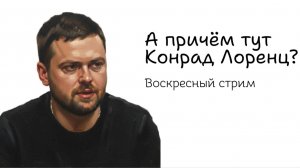 Воскресный стрим