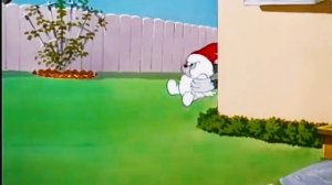 Том стиралка