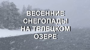 Весенний снегопад на Телецком озере