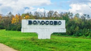 51-Ленинградская обл.: г.Волосово  ф.12