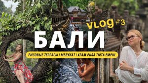 БАЛИ 2026| Где должен побывать каждый? Храм Тирта Эмпул, обряд мелукат и рисовые террасы + цены