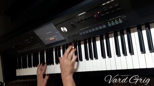 Et si tu n’existais pas~Joe Dassin_Piano cover Vard Grig