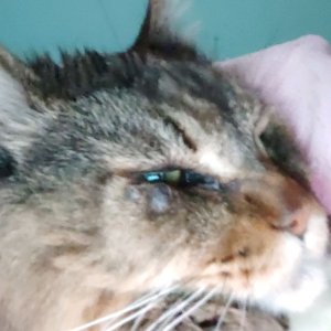 Я вернулся привет