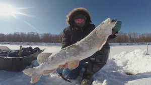 Зимняя рыбалка в Сибири. Часть 91.