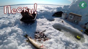 ЩУКА НА ЖЕРЛИЦЫ, НАЛОВИЛ ОКУНЕЙ С ПОЛВОДЫ НА УХУ! ЗАЧЕТНЫЙ ОКУНЬ НА МЕЛИ, ПЕСКИ, РЫБАЛКА НА УРАЛЕ!