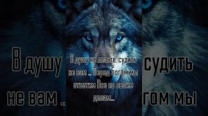 Каждому Своё Испытание..💥 Душевный Шансон💣💯