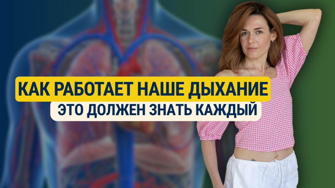 Как работает наше дыхание - это должен знать каждый
