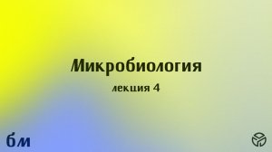 Микробиология (ПМФ). Лекция №4. Лавренова В.Н. 07.03.2026.