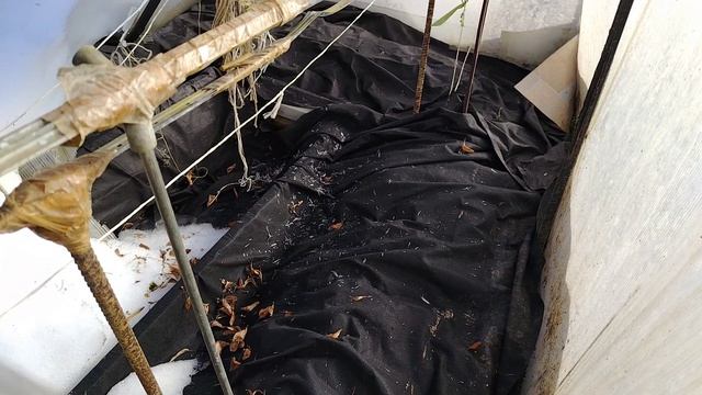 ЦЕЛЫЙ ДЕНЬ РАБОТАЕШЬ, А РАБОТЫ НЕ ВИДНО.....