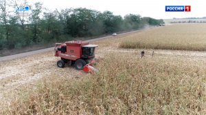 Малый и средний бизнес Кабардино‑Балкарии вырос на 7 % за год