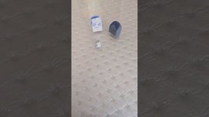 сериал "стёрки, Стёпа и его брат Витя"