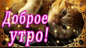 Доброе утро! Пусть будет успешным и удачным Ваш день!