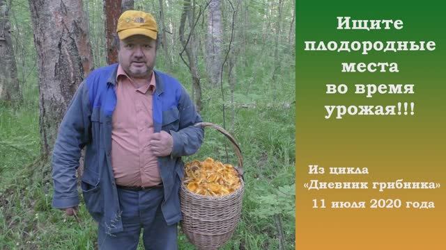 Ищите плодородные места во время урожая!!!