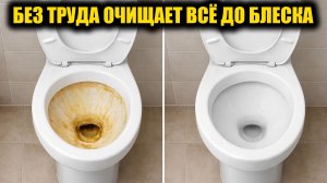 1 Минута и унитаз как новый! Очищает унитаз от известкоговго налета и мочевого камня