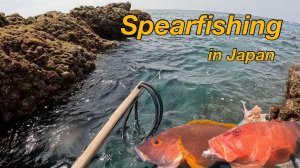 Сегодняшняя подводная охота