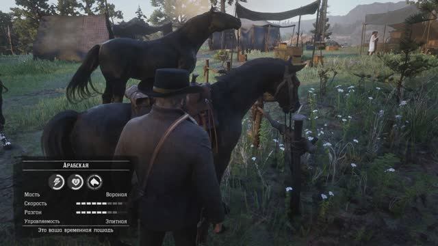 RDR2 Арабская