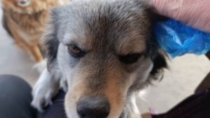 Люся Люся красотуля