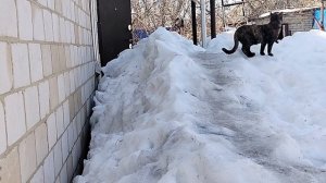 ГДЕ ЖЕ МОИ  ХЕЙТЕРЫ 🤔